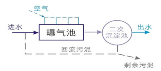 總氮去除