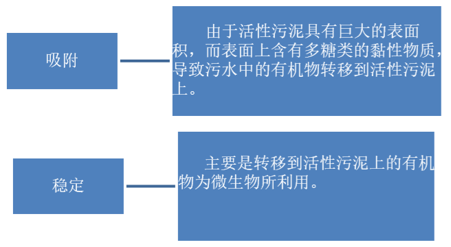 總氮去除