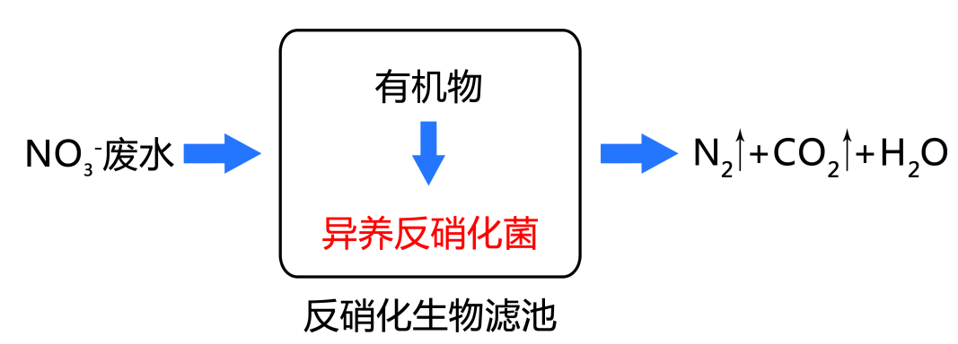 總氮超標